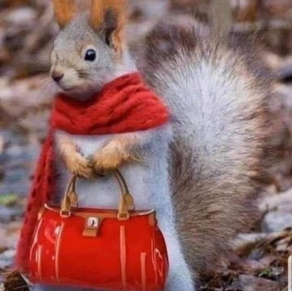 Meet your Posher, Jennie - Picture 1 of 1